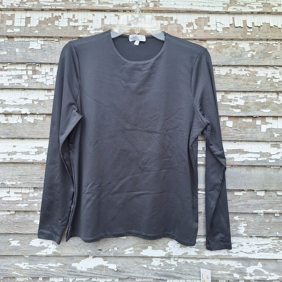 A'NUE Tops - 🌟 A'NUE The classic long sleeve top in slate NWT size L2 XXL
